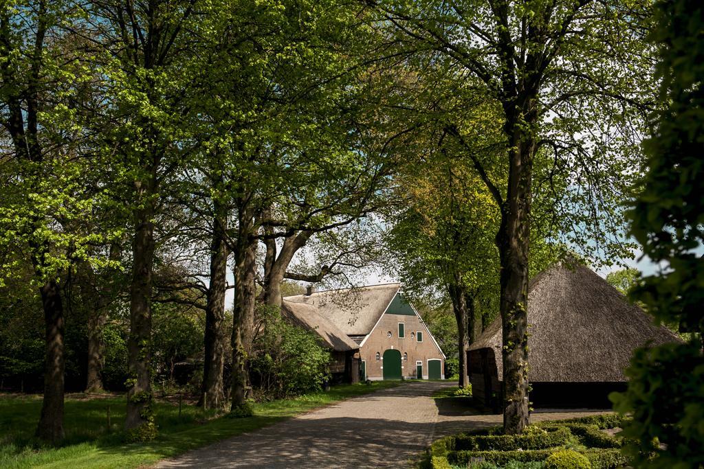 Rheezerstee Bed and Breakfast Exteriör bild